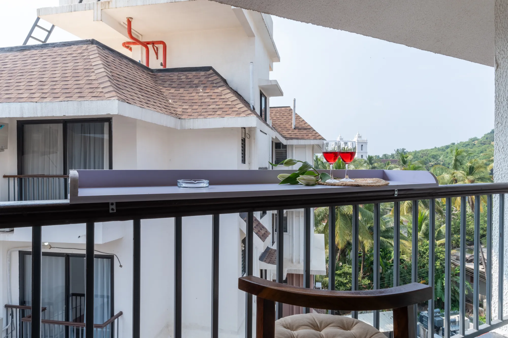 Mellow Mango photo 7