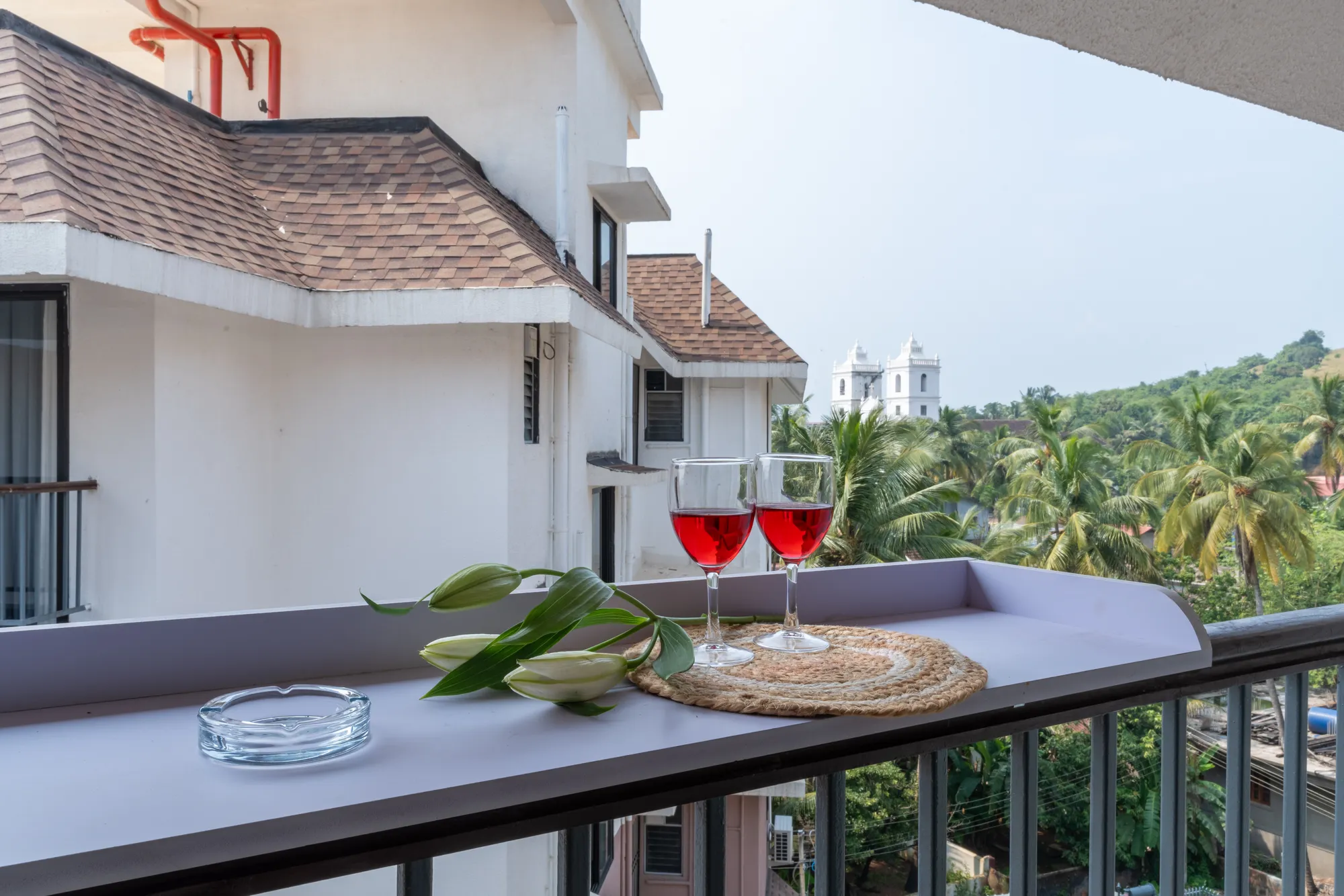 Mellow Mango photo 8