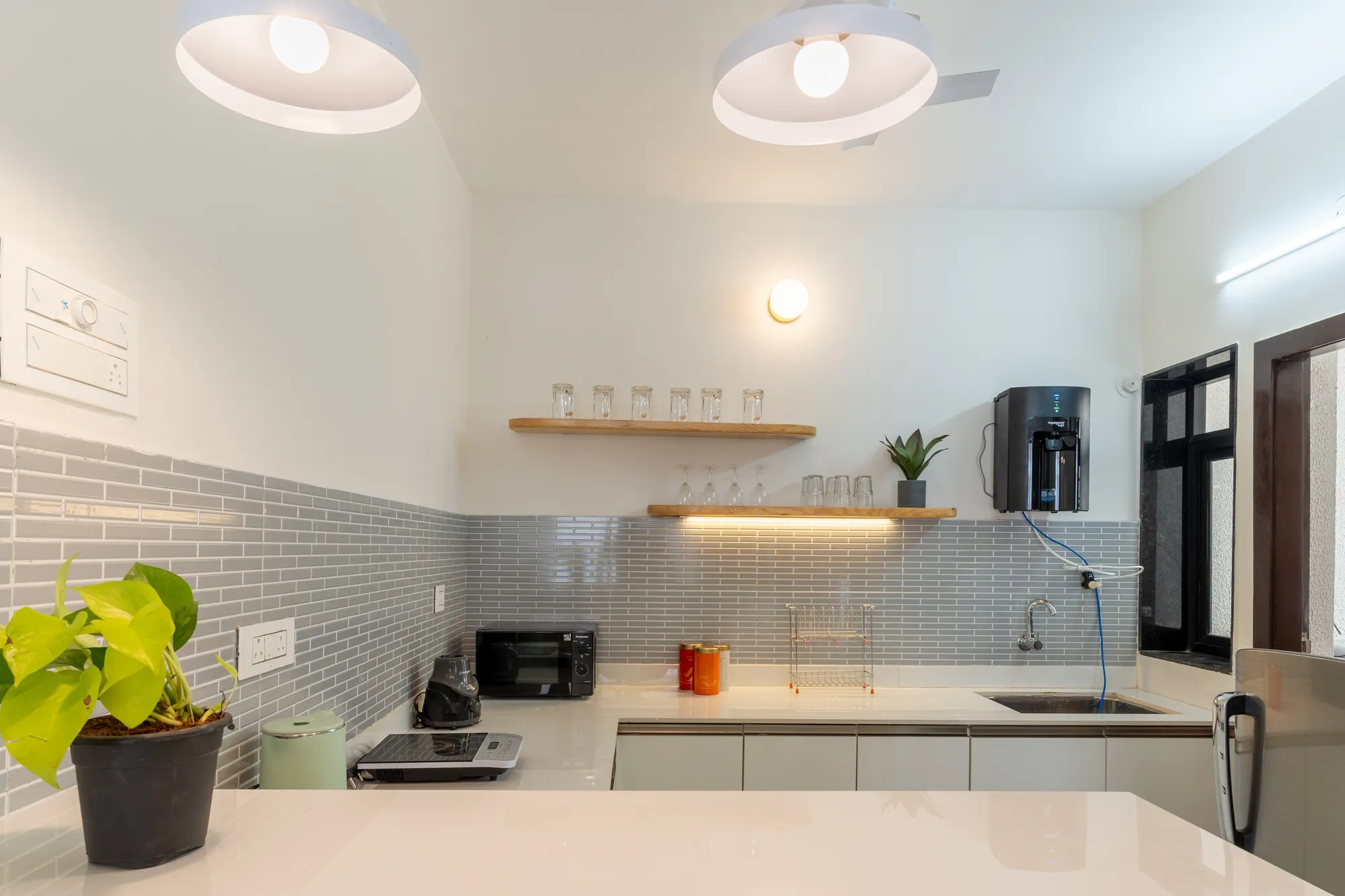 Mellow Mango photo 14