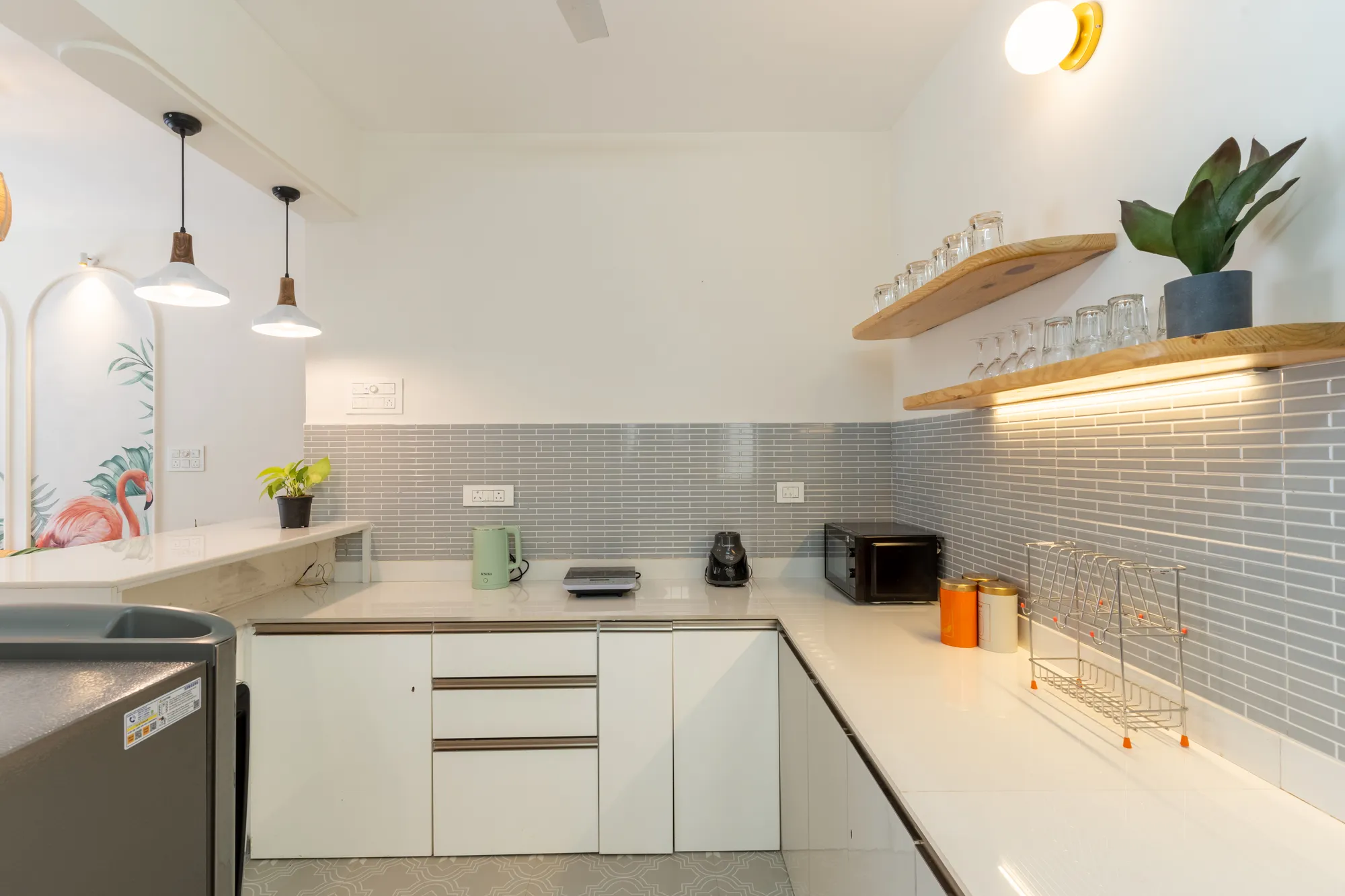 Mellow Mango photo 17