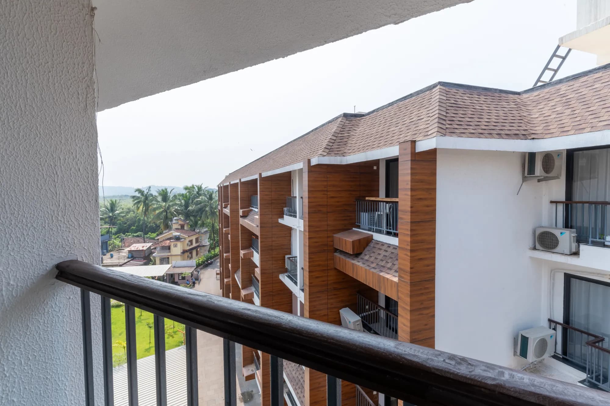 Mellow Mango photo 25