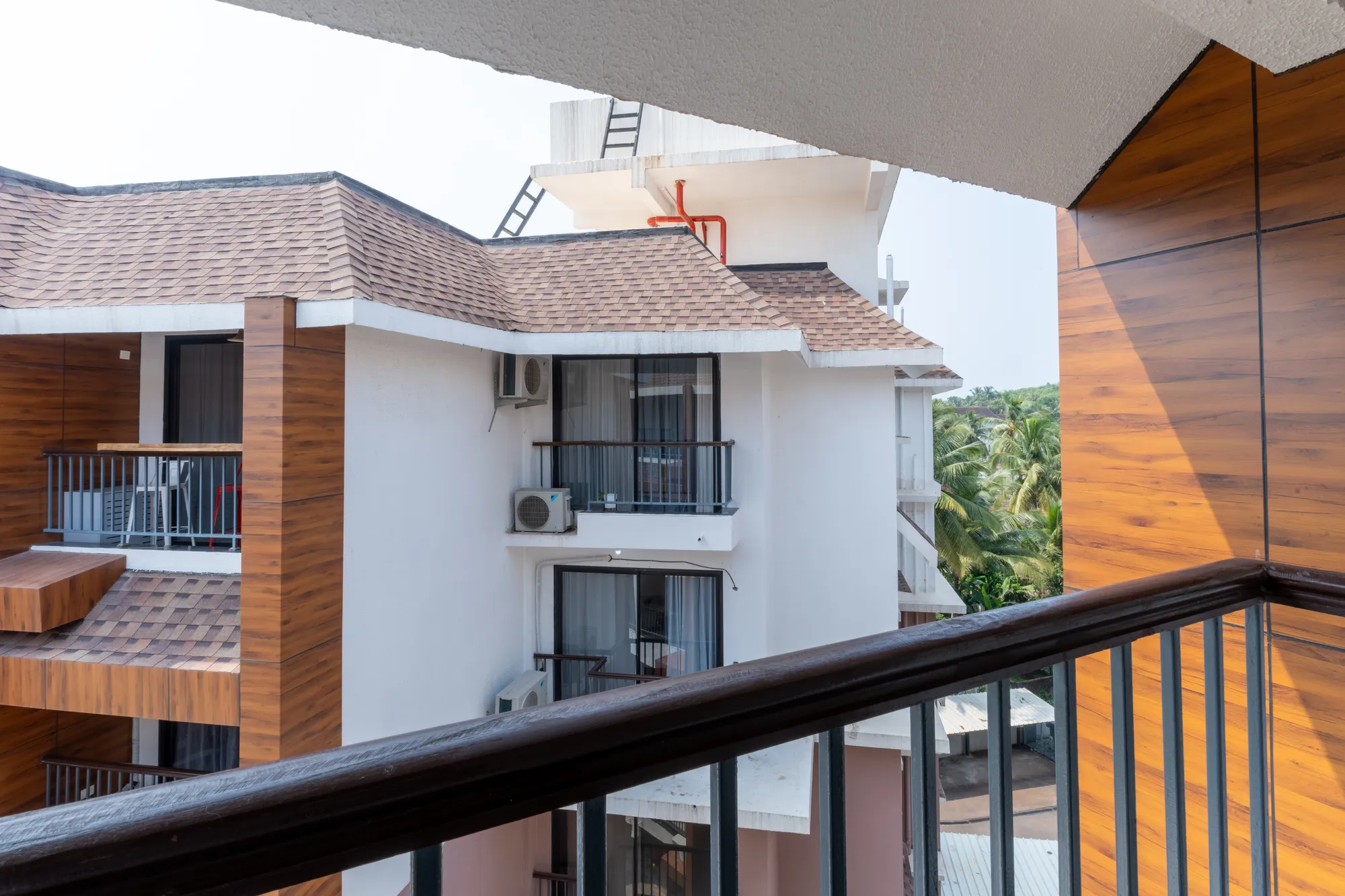 Mellow Mango photo 26