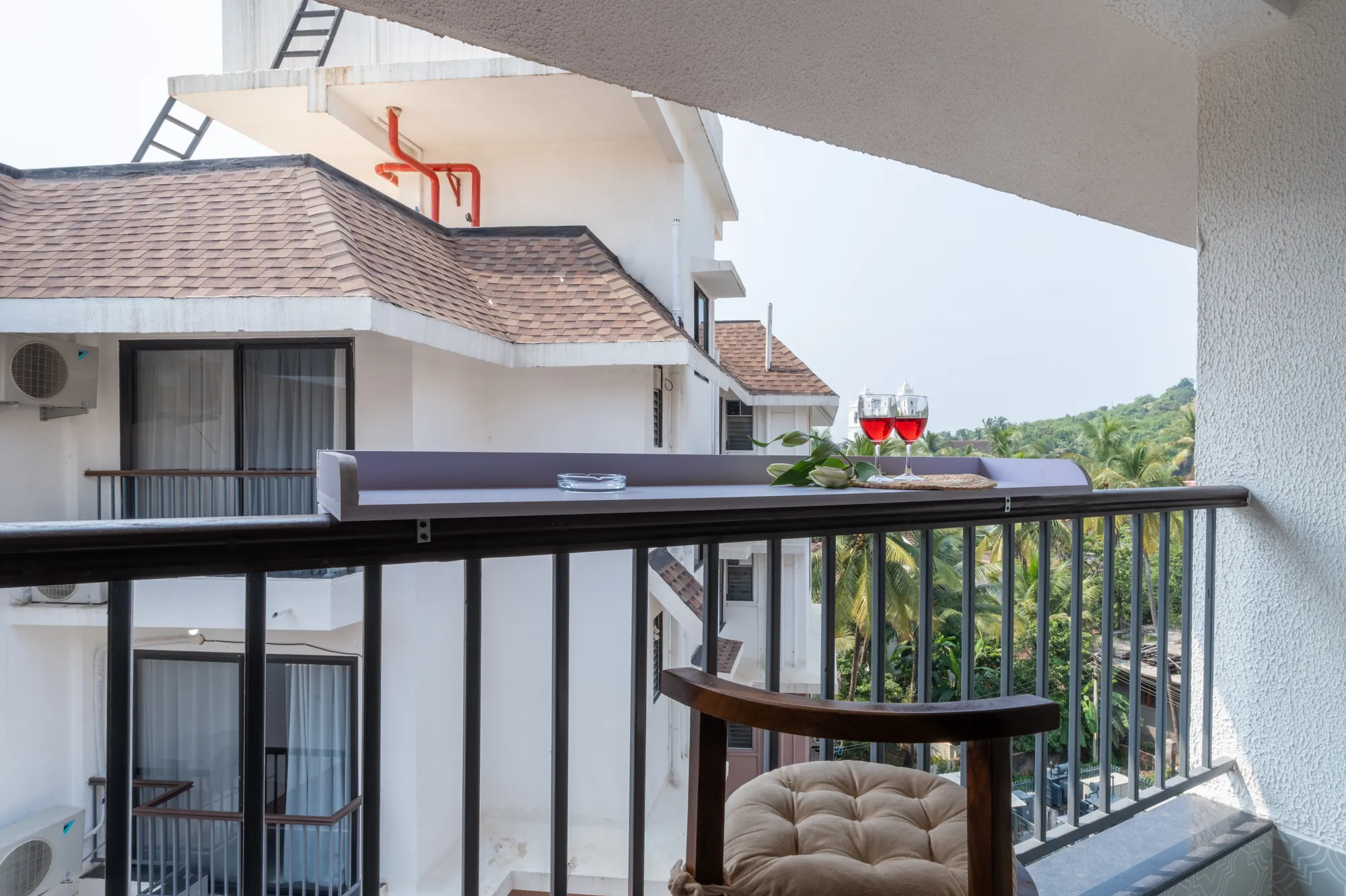 Mellow Mango photo 6