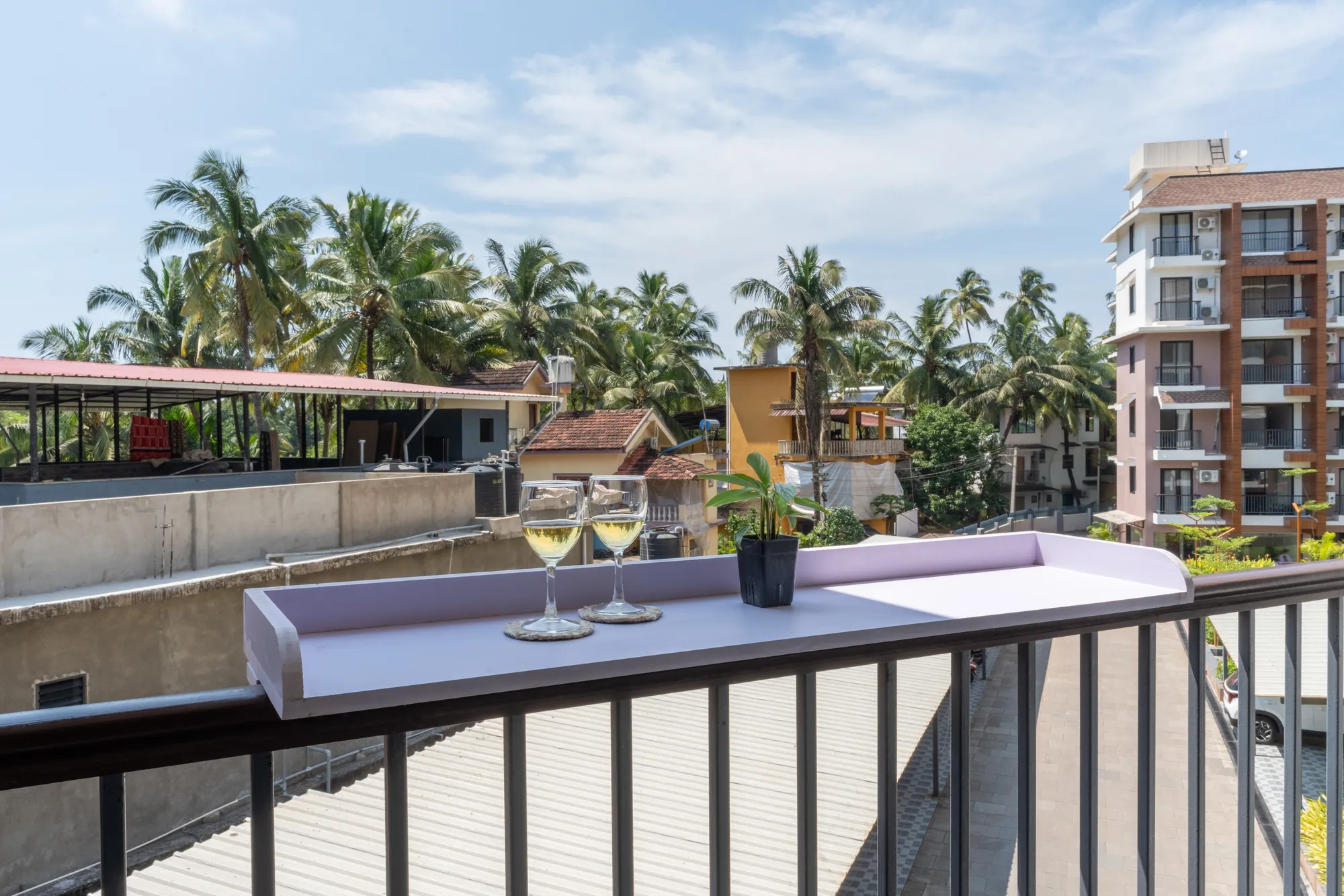 Plum Potion photo 11