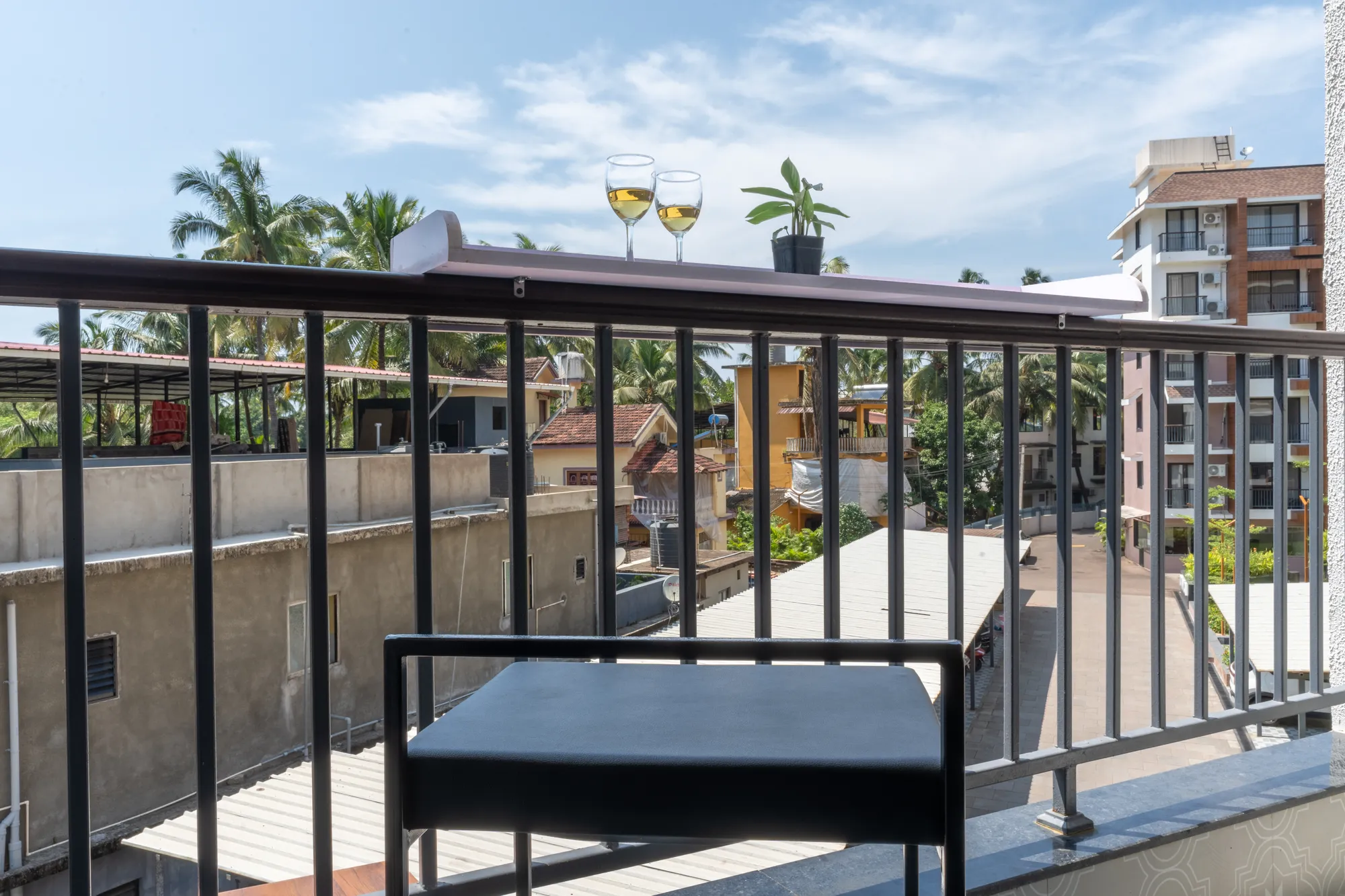 Plum Potion photo 12