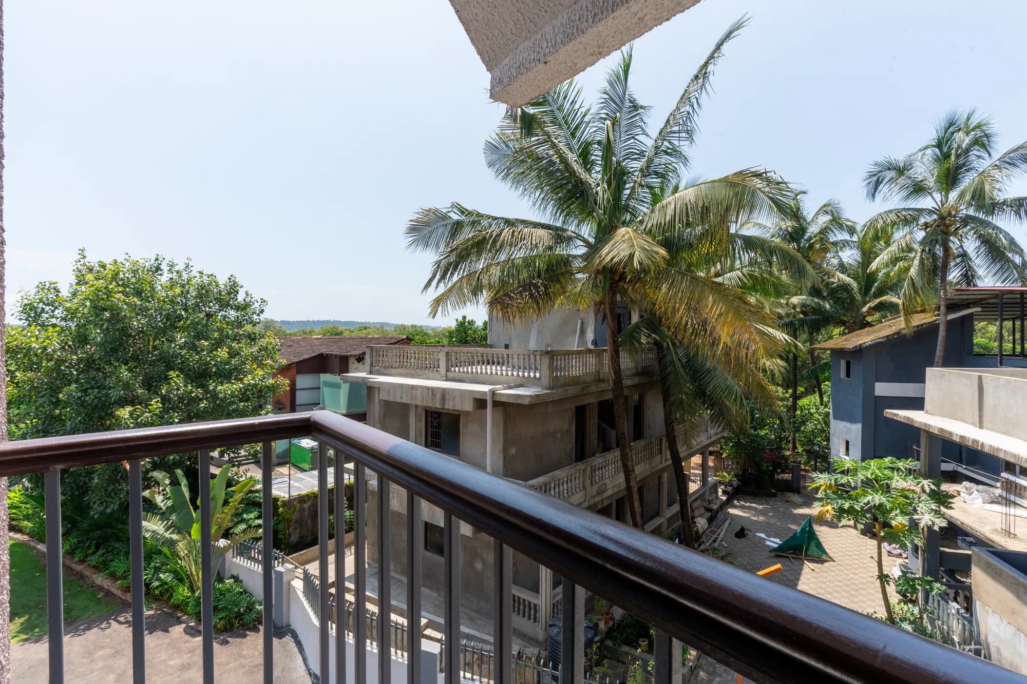 Plum Potion photo 31