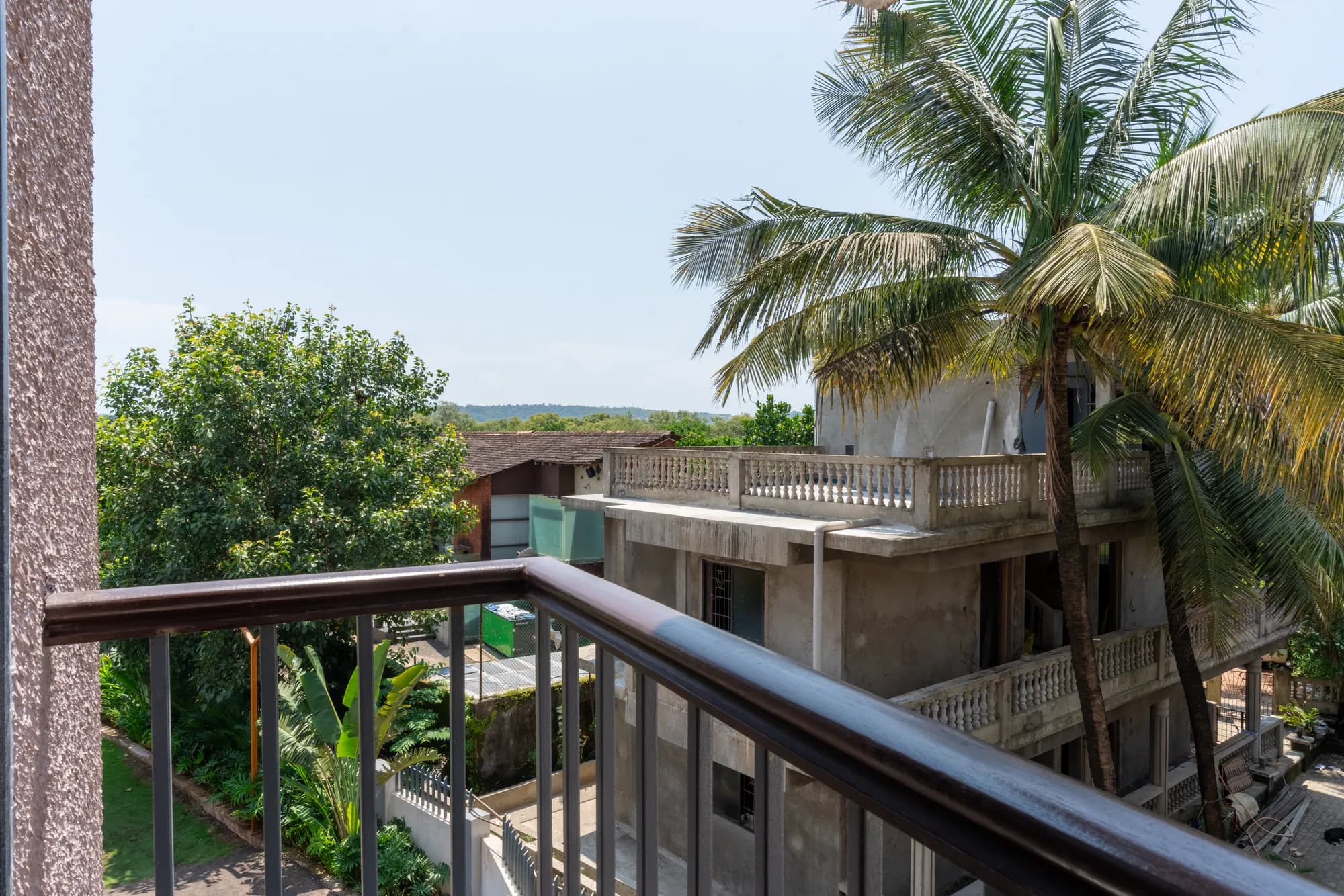 Plum Potion photo 32