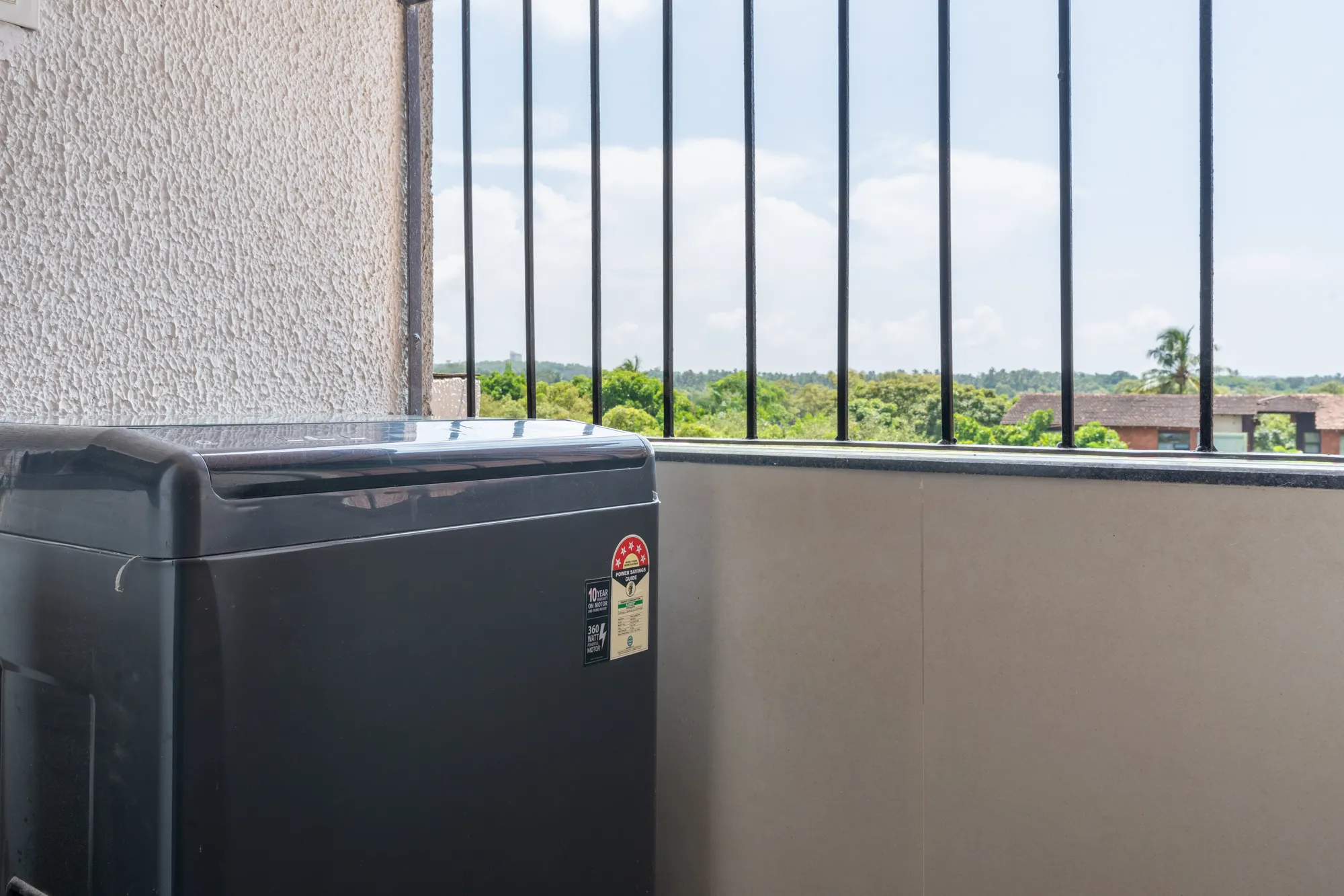 Plum Potion photo 35